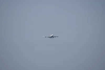 DSC_9574 (Large).JPG